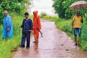 'ഹരിതവീഥി' പദ്ധതി ഒന്നാംഘട്ടം പൂർത്തിയായി