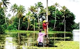 രാപകൽ അധ്വാനം, ഒടുവിൽ ചീത്തപ്പേര്