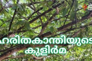 ദിലീപൻ മാഷിൻ്റെ കണ്ണിലും കരളിലും നിറയുന്നത് ഹരിതകാന്തിയുടെ കുളിർമ :ചാലക്കര പുരുഷു