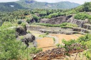 'തുരന്ന' ഭൂമിയിൽ ഹരിത ഭംഗിയൊരുക്കി ചിറയിൽ ഗാർഡൻസ്: പ്രകൃതിയുടെ ഉയിർപ്പ്