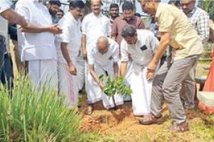 സ്കൂ‌ളുകളിൽ ഔഷധച്ചെടികൾ നട്ടുപിടിപ്പിക്കുന്നു