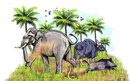 വന്യജീവി സംഘർഷം: ജില്ലയിൽ 28 ജനജാഗ്രതാ സമിതികൾ