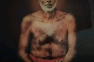 ലോകം നാരായണ ഗുരു, മഹാത്മാ ഗാന്ധിജിയിലൂടെ ഭാവി ദൂരം കാണുന്നു. :സത്യൻ മാടാക്കര .