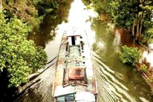 ഇടവിട്ട് മഴ: നദികളിൽ ഉയർന്നും താഴ്ന്നും ജലനിരപ്പ്
