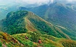 തൂവൽമലയിലേക്ക് ട്രെക്കിങ്ങുമായി വനംവകുപ്പ്
