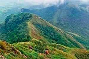 തൂവൽമലയിലേക്ക് ട്രെക്കിങ്ങുമായി വനംവകുപ്പ്