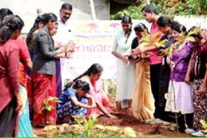 കൃഷിയും ഒരു തെറാപ്പി...