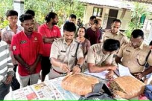 കുറിച്ചിയിൽ നാലുകിലോ കഞ്ചാവുമായി ഇതരസംസ്ഥാനക്കാർ പിടിയിൽ