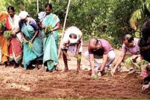 പുനർജീവനത്തിന് പുനർജന്മം