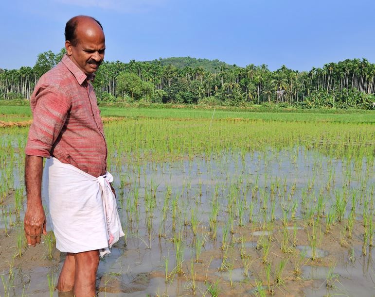 raveendran-kodakkad