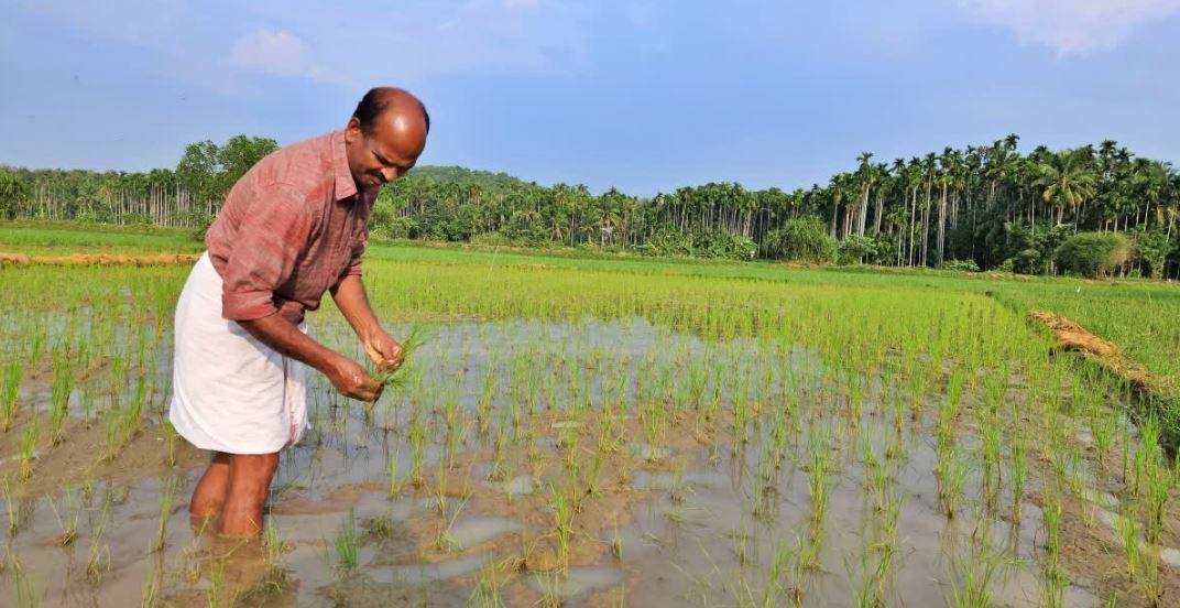 കർഷക പ്രസ്ഥാനം; ഇന്നലെ, ഇന്ന്, നാളെ :ഡോ. കെ.കെ.എൻ. കുറുപ്പ് (കാലിക്കറ്റ് യൂണിവേഴ്‌സിറ്റി മുൻ വൈസ് ചാൻസലർ