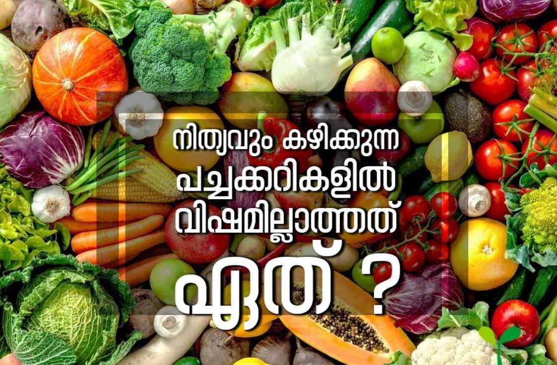 സ്കൂൾ ഉച്ചഭക്ഷണത്തിലെ പുതിയ മെനു സുഗതൻ മാഷിനും ആശ്വസിക്കാം