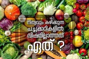 സ്കൂൾ ഉച്ചഭക്ഷണത്തിലെ പുതിയ മെനു സുഗതൻ മാഷിനും ആശ്വസിക്കാം