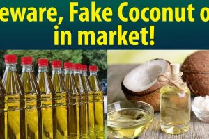 വ്യാജ വെളിച്ചെണ്ണ: 25 സ്ഥാപനങ്ങൾക്ക് നോട്ടീസ് മായം ചേർത്ത വെളിച്ചെണ്ണ വിൽപ്പനയ്ക്കെതിരേ പൊതുജനങ്ങ ളും ജാഗ്രത പാലിക്കണമെന്ന് ഭക്ഷ്യസുരക്ഷാവകുപ്പ് ;