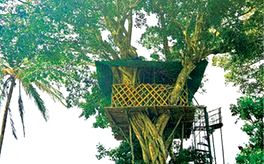 സഞ്ചാരികളെ വരവേറ്റ് നെല്ലിയാമ്പതി