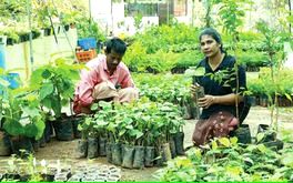 കുടുംബശ്രീ ചിറകുനൽകി ഉയരെപ്പറന്ന് മഞ്ജുവിന്റെ സ്വപ്നം
