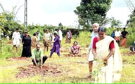 പച്ചത്തുരുത്ത് വെട്ടിമാറ്റിയതിന് 30-ഓളം വൃക്ഷത്തൈകൾ നട്ട് പരിഹാരം