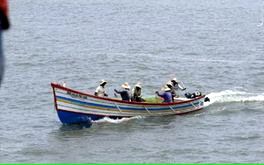 നിരോധിത വല ഉപയോഗിച്ചുളള ചെറുമീൻപിടിത്തം:നടപടി ശക്തമാക്കണം- താലൂക്ക് വികസന സമിതി