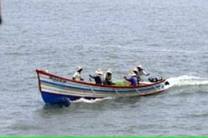 നിരോധിത വല ഉപയോഗിച്ചുളള ചെറുമീൻപിടിത്തം:നടപടി ശക്തമാക്കണം- താലൂക്ക് വികസന സമിതി