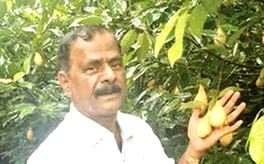ഗോപിയുടെ മൾട്ടിറൂട്ടിന് അവാർഡ് തിളക്കം