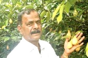 ഗോപിയുടെ മൾട്ടിറൂട്ടിന് അവാർഡ് തിളക്കം