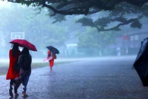 തുലാവർഷം ഉടനെത്തും; 20 വരെ കനത്തമഴയ്ക്ക് സാധ്യത