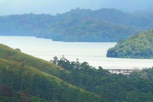 മുല്ലപ്പെരിയാർ: തമിഴ്‌നാട്ടിൽ 26-ന് കർഷക നിരാഹാരം