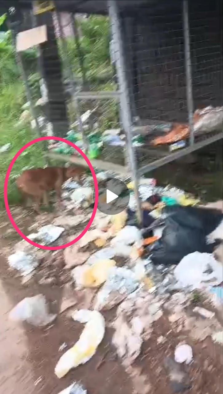 whatsapp-image-2025-10-16-at-21.07.32_0345d75b