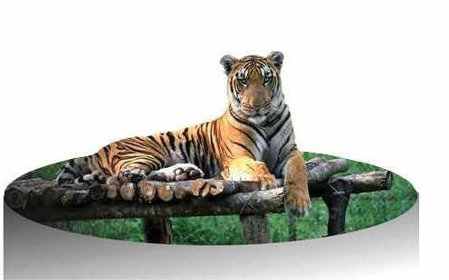 ആദ്യഘട്ടത്തിന് 16 കോടിയുടെ ഡിപിആർ