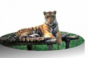 ആദ്യഘട്ടത്തിന് 16 കോടിയുടെ ഡിപിആർ