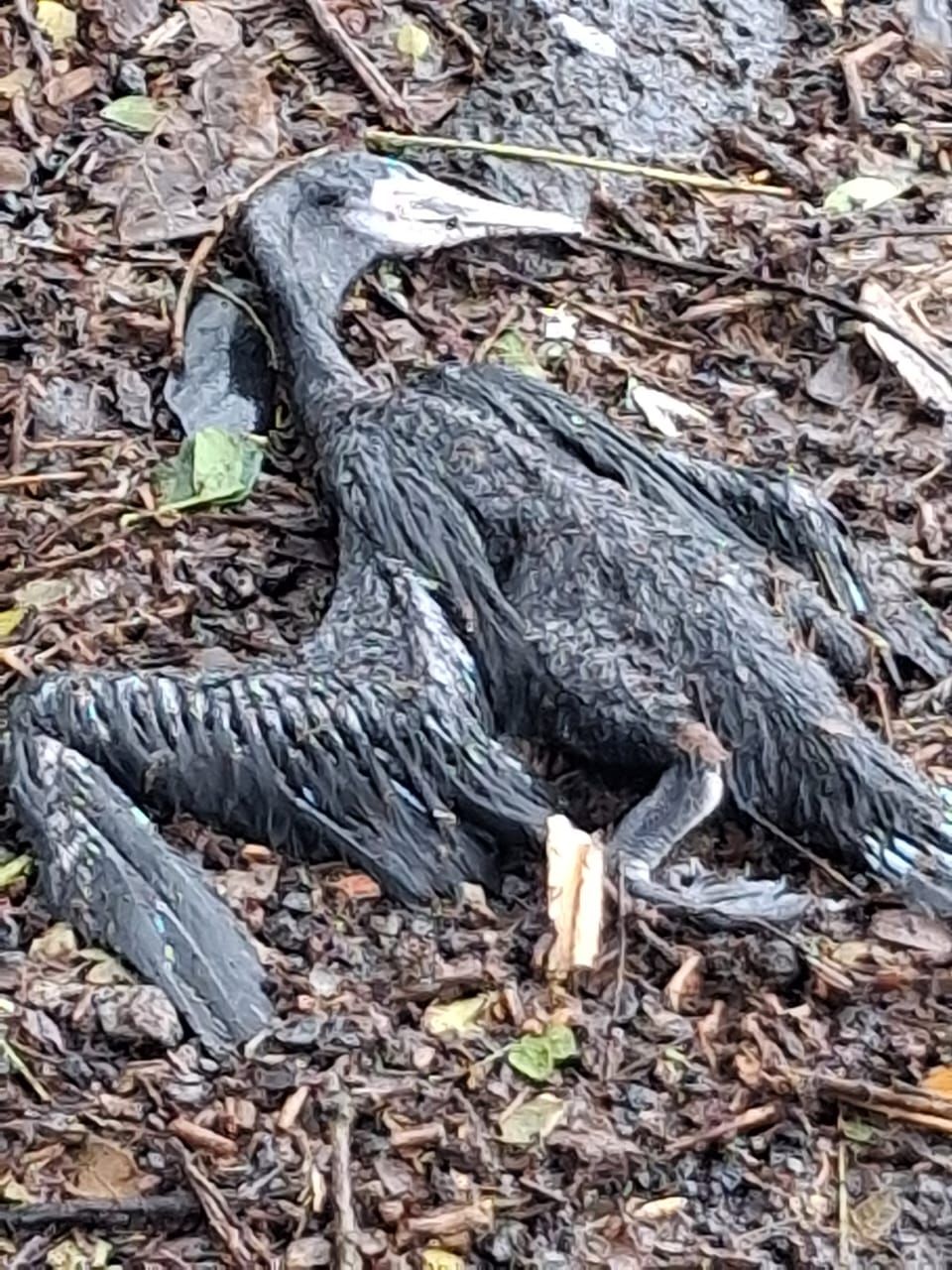 whatsapp-image-2025-10-29-at-20.33.56_45fb9f04