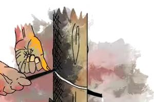 പ്രതിസന്ധിയിലായി ചെറുകിട റബ്ബർ കർഷകർ