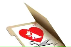 തെരുവുനായ്ക്കളുടെ വന്ധ്യംകരണം ബ്ലോക്കുകളിൽ സഞ്ചരിക്കുന്ന എബിസി കേന്ദ്രങ്ങൾ