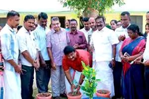 സമ്പൂർണ സ്കൂൾ അടുക്കള പച്ചക്കറിത്തോട്ടം: ഉപജില്ലാതല പ്രഖ്യാപനം നടത്തി