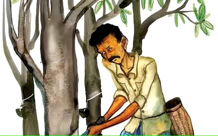 മഴയിൽ വിലയും ഇടിഞ്ഞു; റബ്ബർ കർഷകരുടെ പ്രതീക്ഷകൾക്ക് തിരിച്ചടി