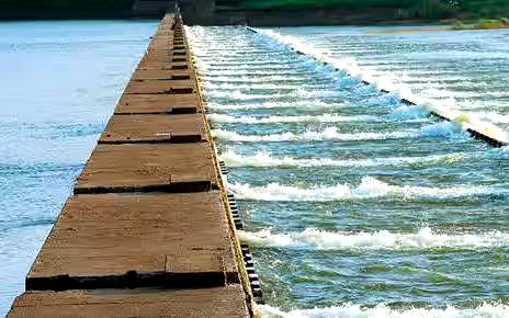 ഭാരതപ്പുഴ വറ്റുന്നു