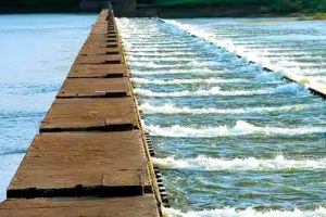 ഭാരതപ്പുഴ വറ്റുന്നു