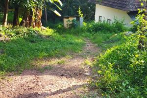 ചോമ്പാലയിൽ യാത്രാദുരിതത്തിന് അറുതി: മത്സ്യത്തൊഴിലാളികൾക്ക് ആശ്വാസം; ചള്ളയിൽ റോഡിന്7 ലക്ഷം എംപി ഫണ്ട്