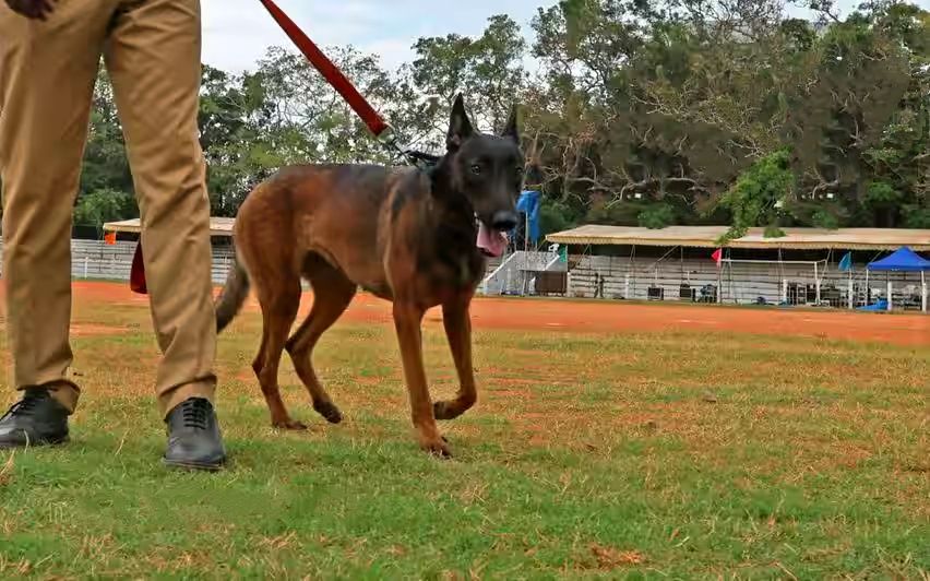 ഡൽഹി സ്ഫോടനം: സംസ്ഥാനത്തും ജാഗ്രതാ നിർദേശം