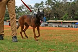 ഡൽഹി സ്ഫോടനം: സംസ്ഥാനത്തും ജാഗ്രതാ നിർദേശം