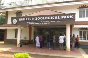 മാനുകള്‍ കൂട്ടത്തോടെ ചത്തതില്‍ സുരക്ഷാ വീഴ്ച; കര്‍ശന നടപടി ഉണ്ടാകുമെന്ന് മന്ത്രി എ.കെ. ശശീന്ദ്രന്‍