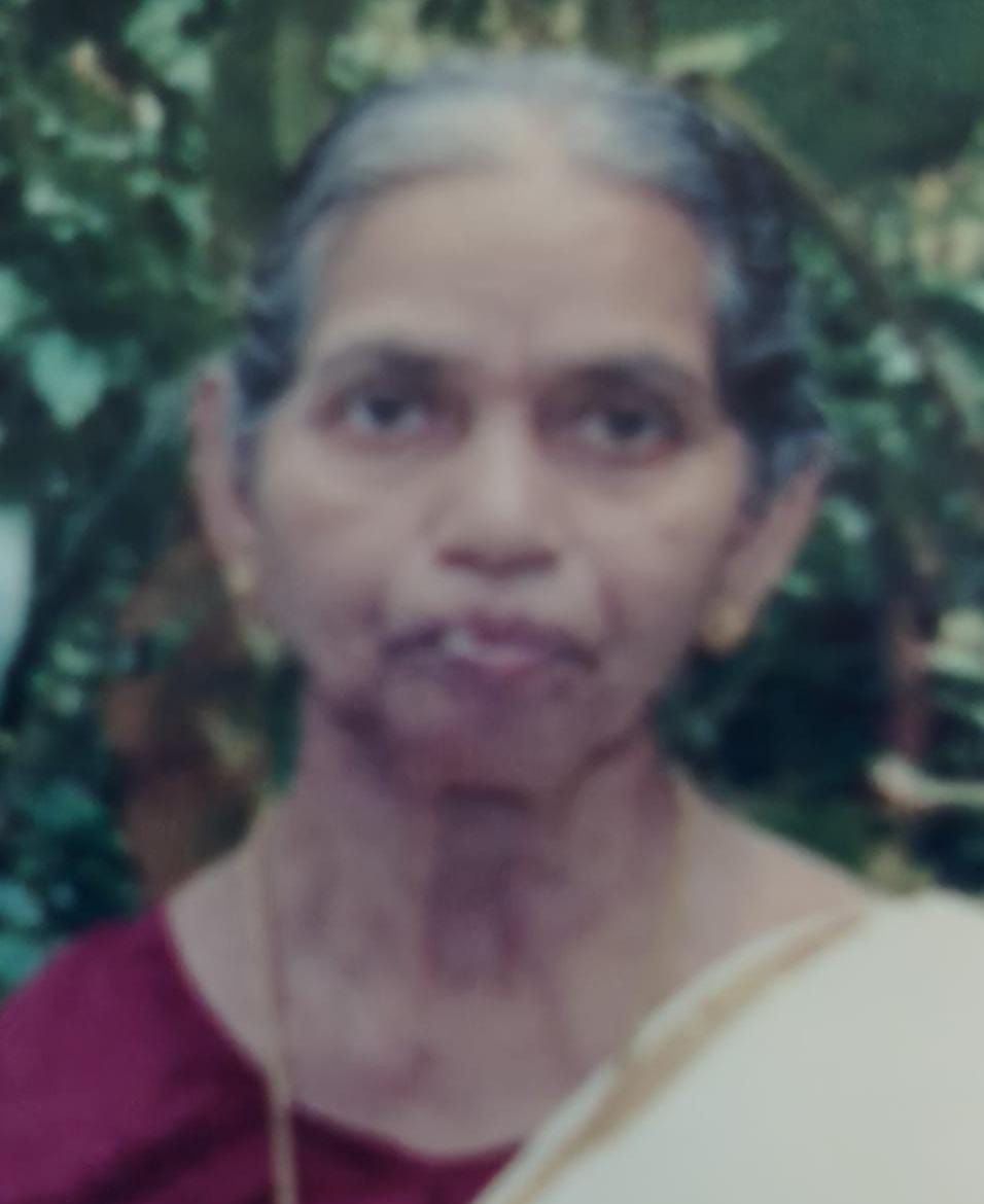 whatsapp-image-2025-11-13-at-00.04.47_45047b24