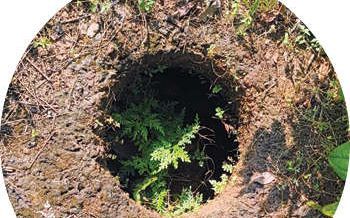 മാണിമൂലയിൽ മൺപാത്രങ്ങൾ കണ്ടെത്തിയയിടത്ത് ഖനനം തുടങ്ങി