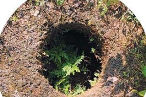 മാണിമൂലയിൽ മൺപാത്രങ്ങൾ കണ്ടെത്തിയയിടത്ത് ഖനനം തുടങ്ങി