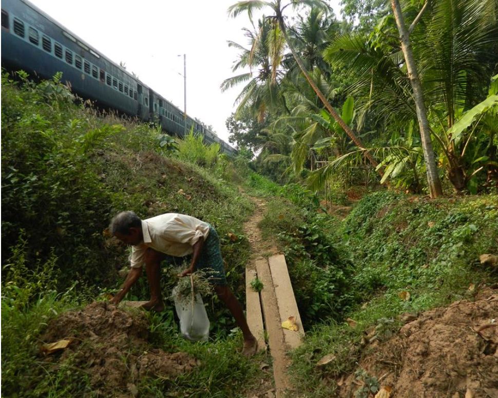 എവിടെപ്പോയി  ചോമ്പാലയിലെ  ആ തണ്ണീർത്തടം?  നാട്ടുകാർ വിരൽചൂണ്ടി ചോദിക്കുന്നു !