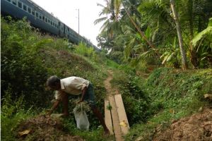 എവിടെപ്പോയി  ചോമ്പാലയിലെ  ആ തണ്ണീർത്തടം?  നാട്ടുകാർ വിരൽചൂണ്ടി ചോദിക്കുന്നു !