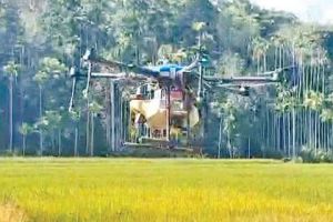 ചെലവുചുരുക്കി മരുന്നുതളിക്കാൻ ഡ്രോൺ