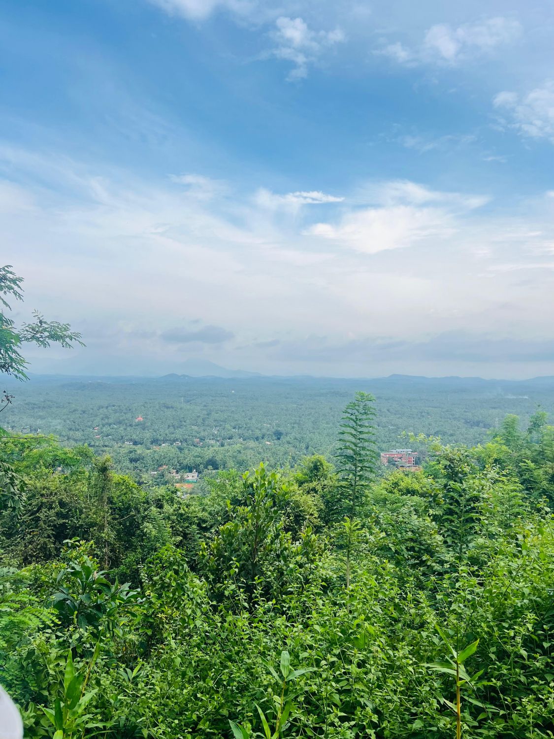 whatsapp-image-2025-11-25-at-21.50.08_3384c266