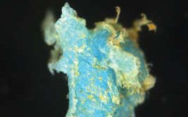 നാലുപതിറ്റാണ്ട് മുൻപേ തുടങ്ങിയെന്ന് പഠനം