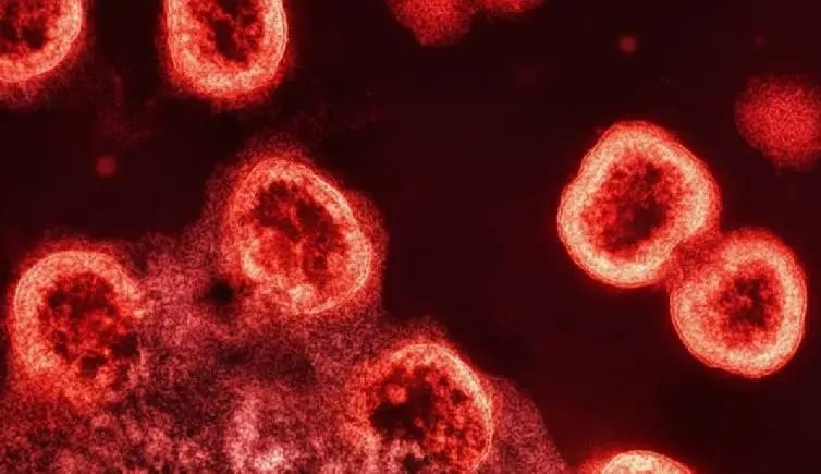 51-കാരൻ AIDS മുക്തനായി; HIV പ്രതിരോധ സ്റ്റെം സെൽ ഉപയോഗിച്ചില്ല, എന്നിട്ടും രോഗമുക്തി നേടുന്ന രണ്ടാമത്തെ ആൾ